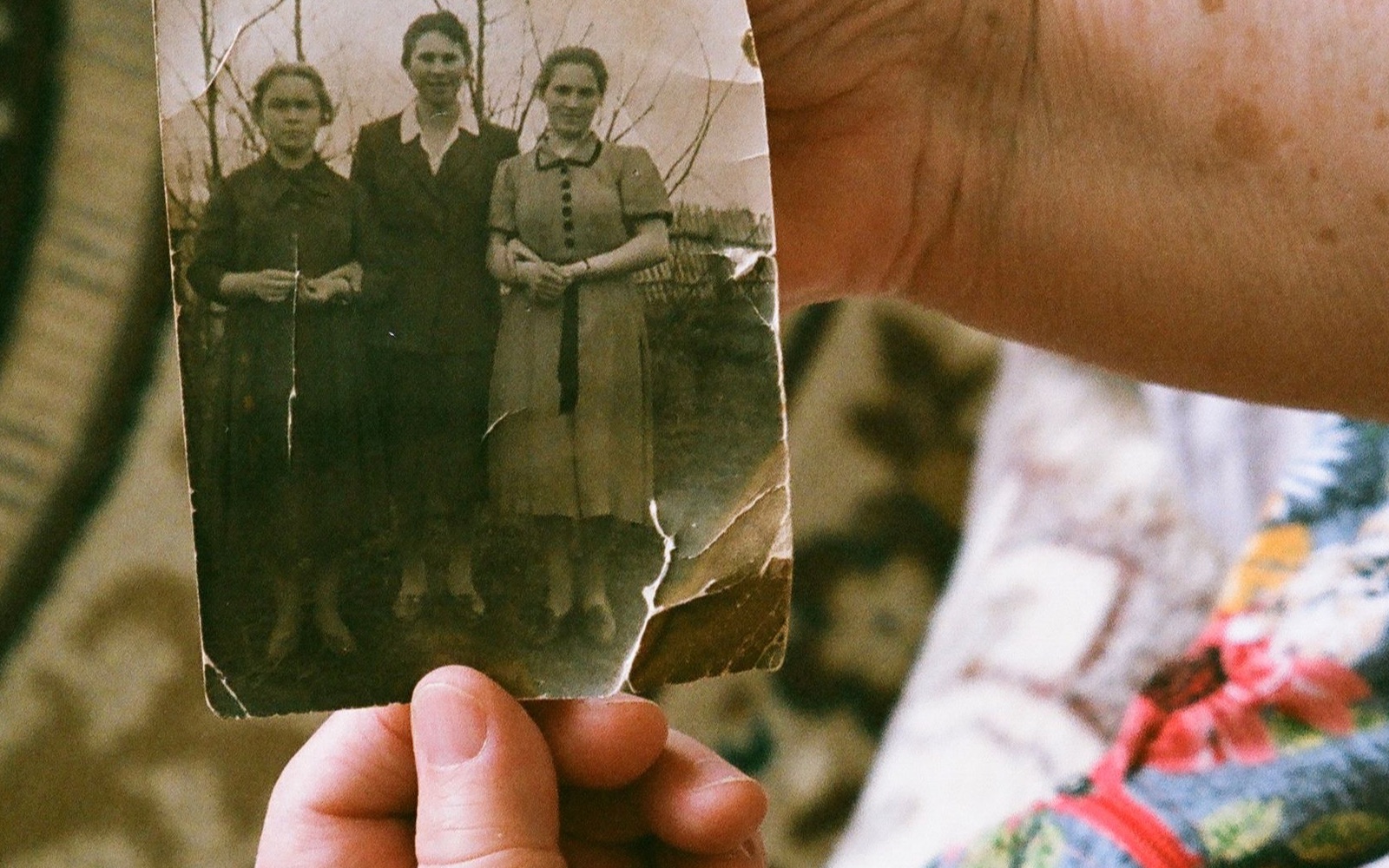 An older family member holding a treasured photograph